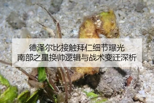 de-ze-er-bi-jie-chu-bai-ren-xi-jie-bao-guang-nan-bu-zhi-xing-huan-shuai-luo-ji-yu-zhan-shu-bian-qian-shen-xi-2-704.jpg