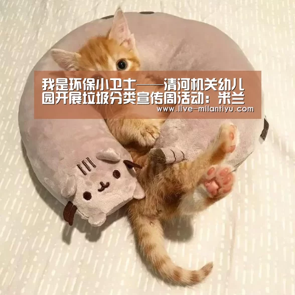 米兰体育网页登录
